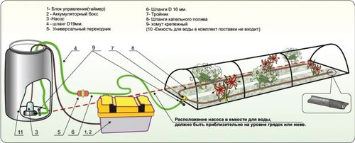 http-propolikarbonat-ru-wp-content-uploads-2017-.jpeg